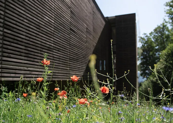 Vendégház Le Moulin De Nouara 3*